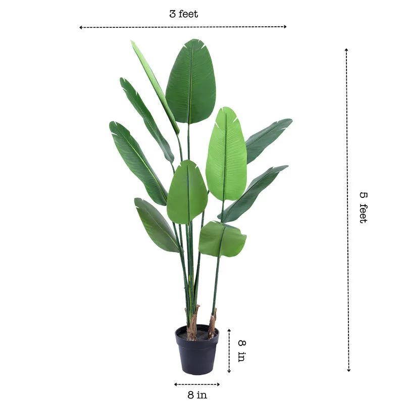 Artificial Realistic Banana Tree With Black Plastic Pot - 4.9 Feet media 8