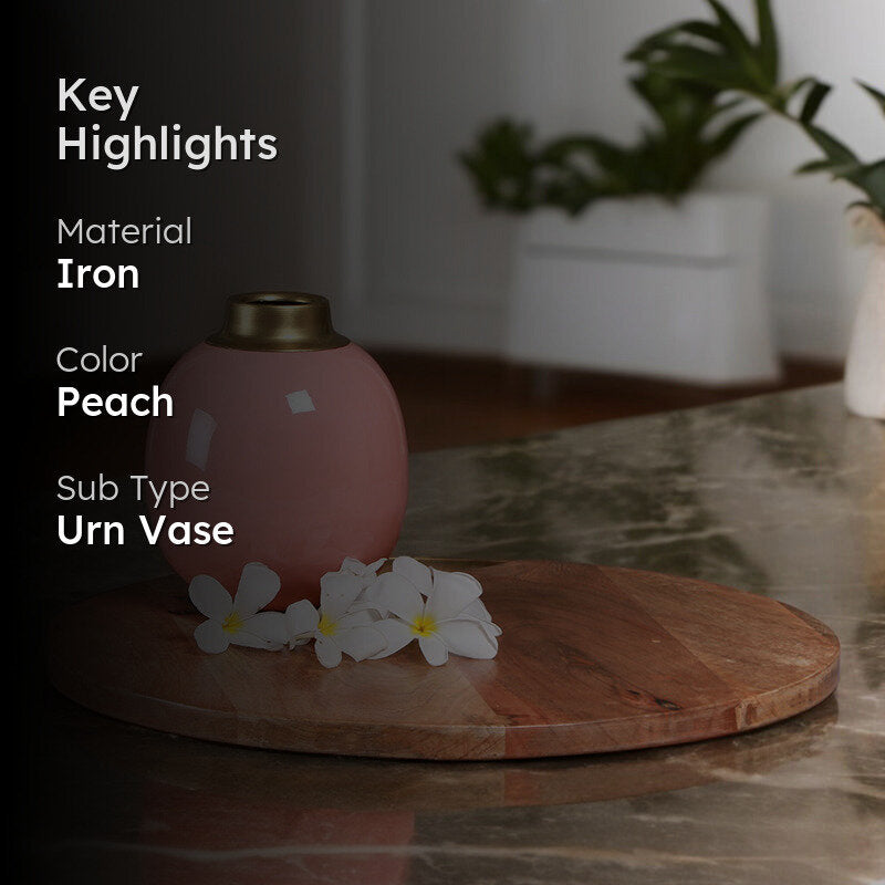 Linea Round Iron Vase - Peach media 2