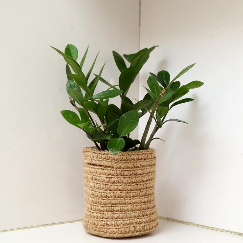 Botanical Beauties Jute Planter media 2