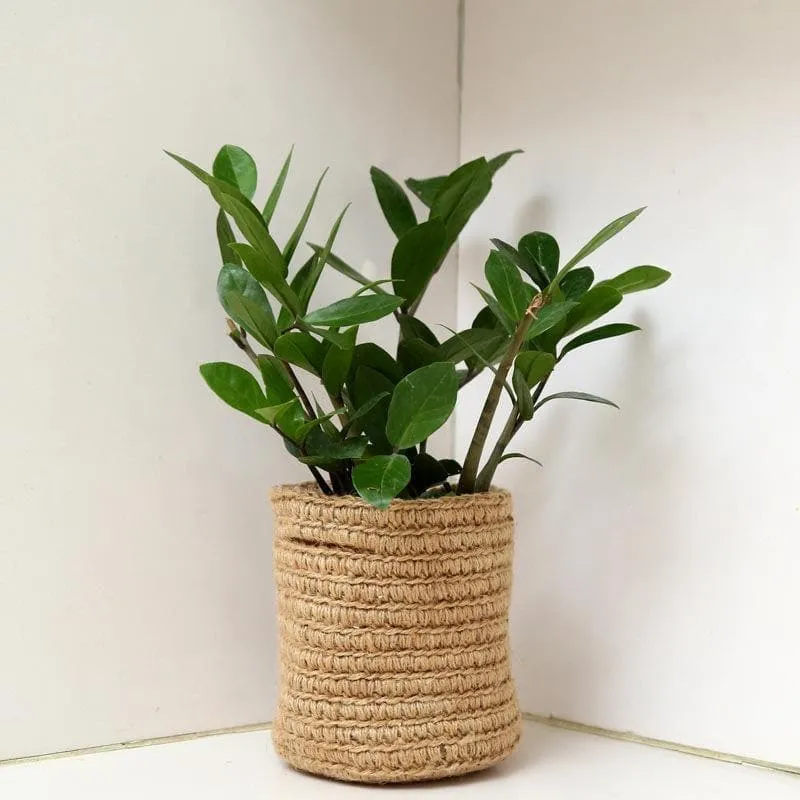 Botanical Beauties Jute Planter media 2