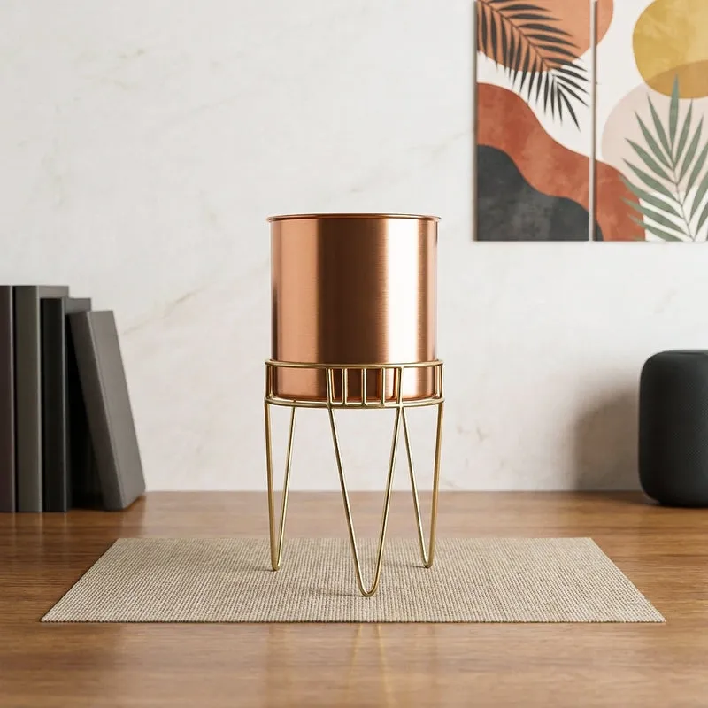 Zenva Stainless Steel Planter - Copper & Gold media 1