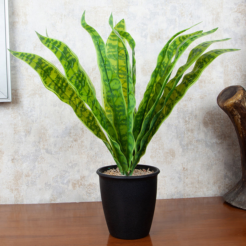 Everine Artificial Snake Plant With Black Plastic Pot - 1.25 Feet