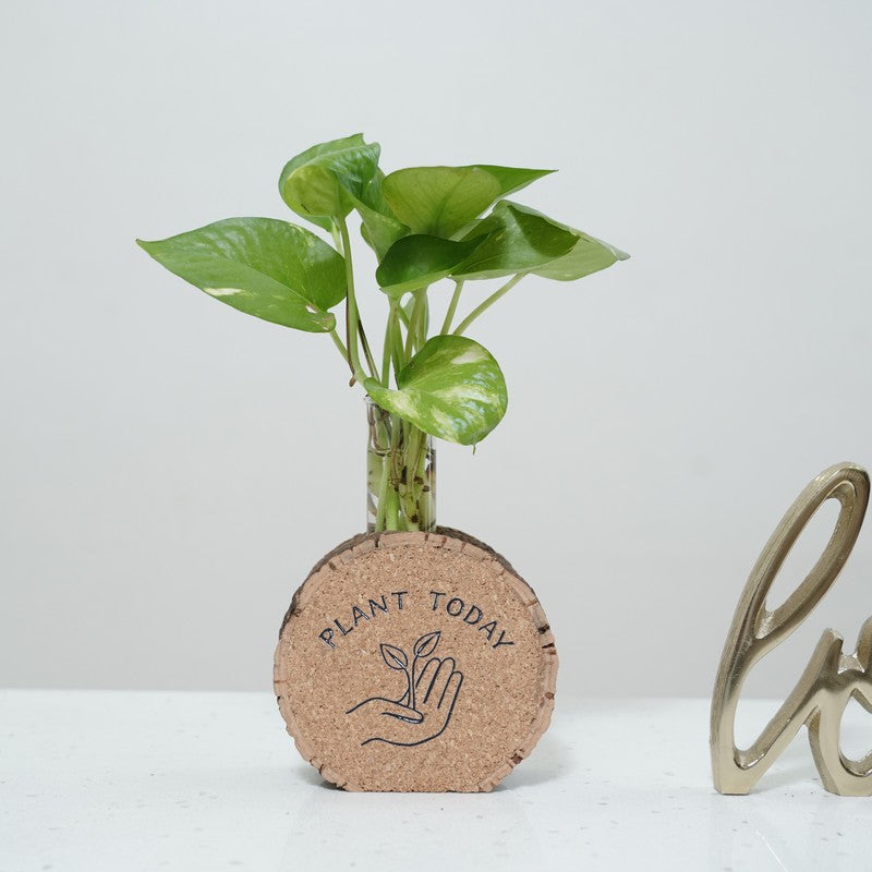 LeafLoom Modern Planter - Two Piece Set media 3