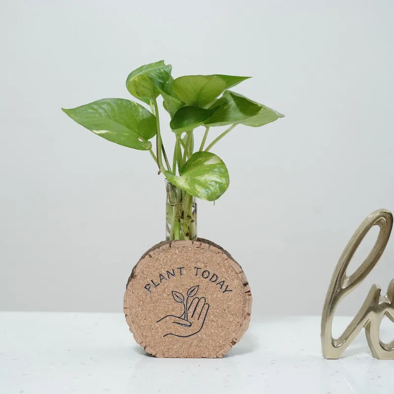 LeafLoom Modern Planter - Two Piece Set media 3