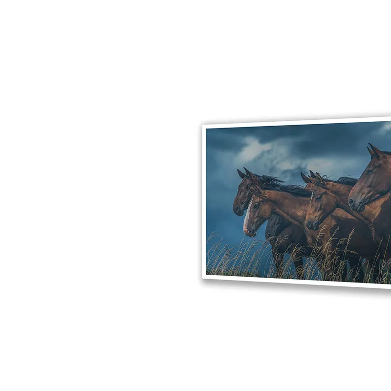 Grazing Horses Wall Art with White Frame media 5
