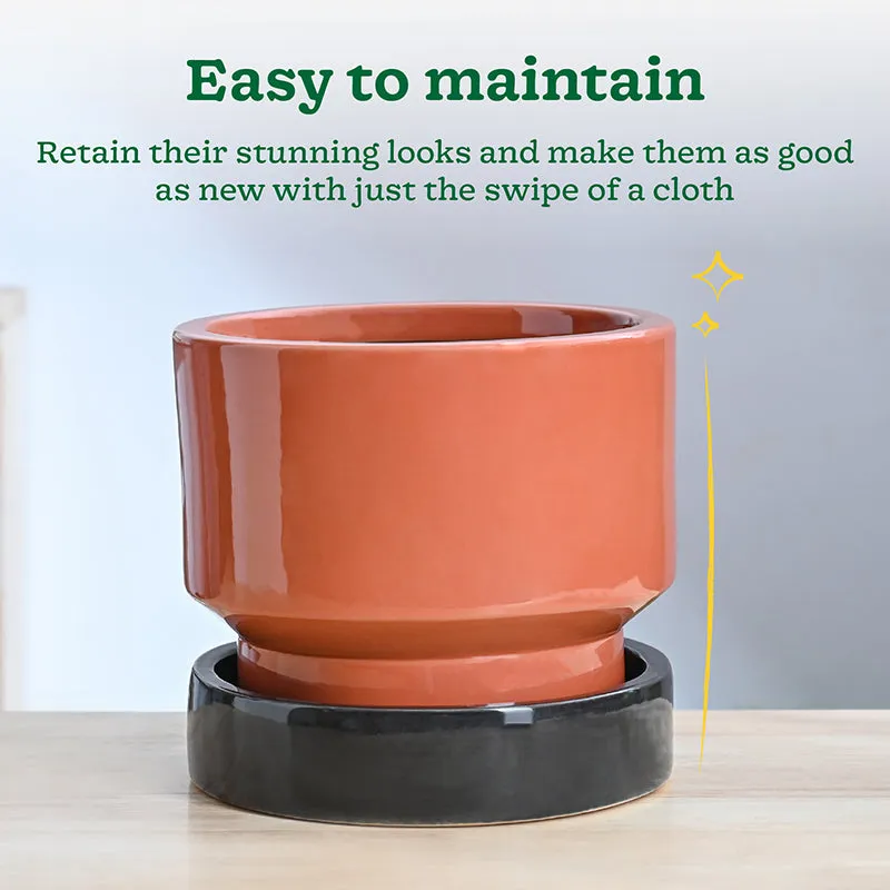 Ugaoo Pot-fection Ceramic Planter - Coral media 5