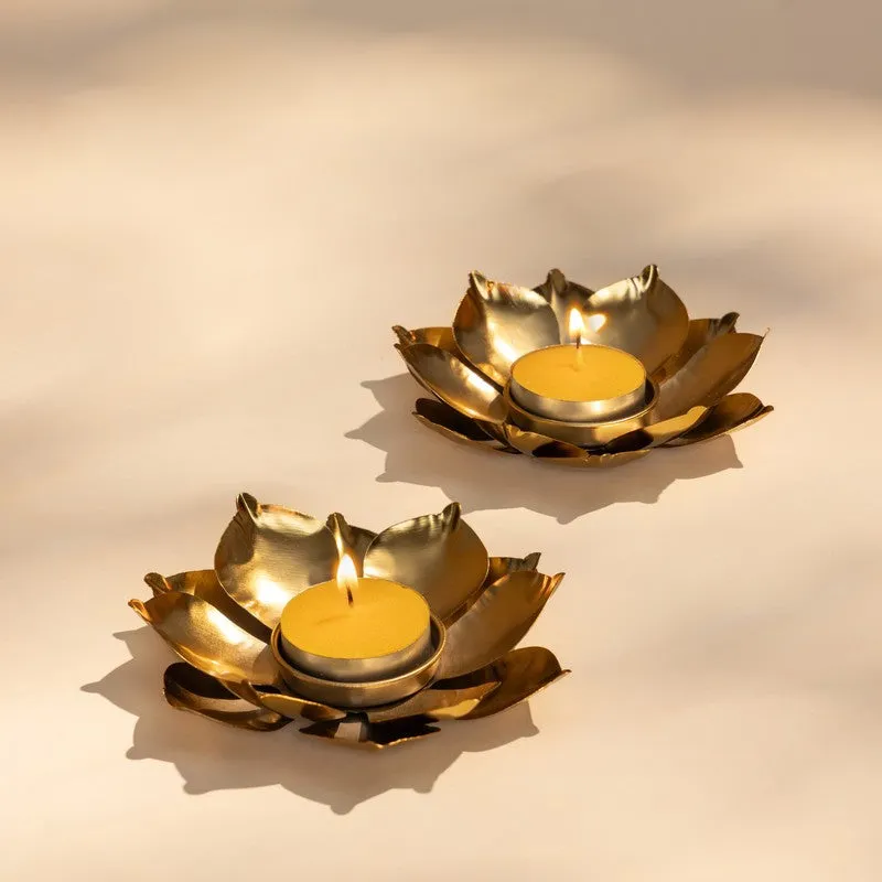 FIg Living Diwali Gift Box media 15