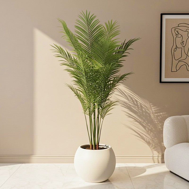 Palma Artificial Areca Palm With Black Plastic Pot - 5 Feet