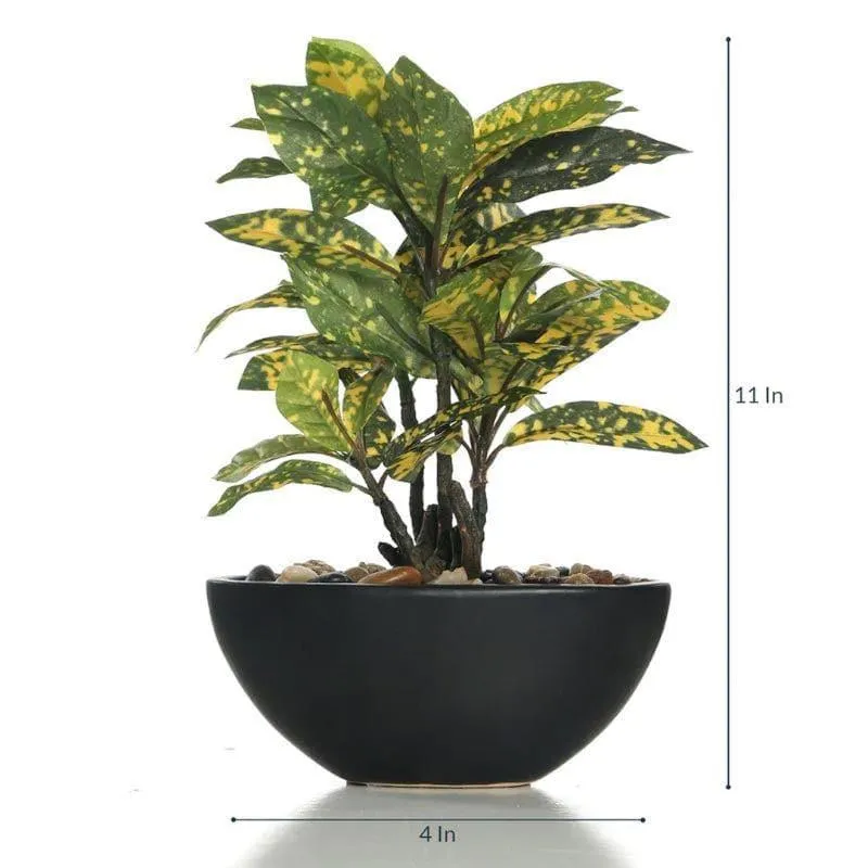 Faux Croton Bonsai In Bowl Pot (29 cms) - Yellow media 4