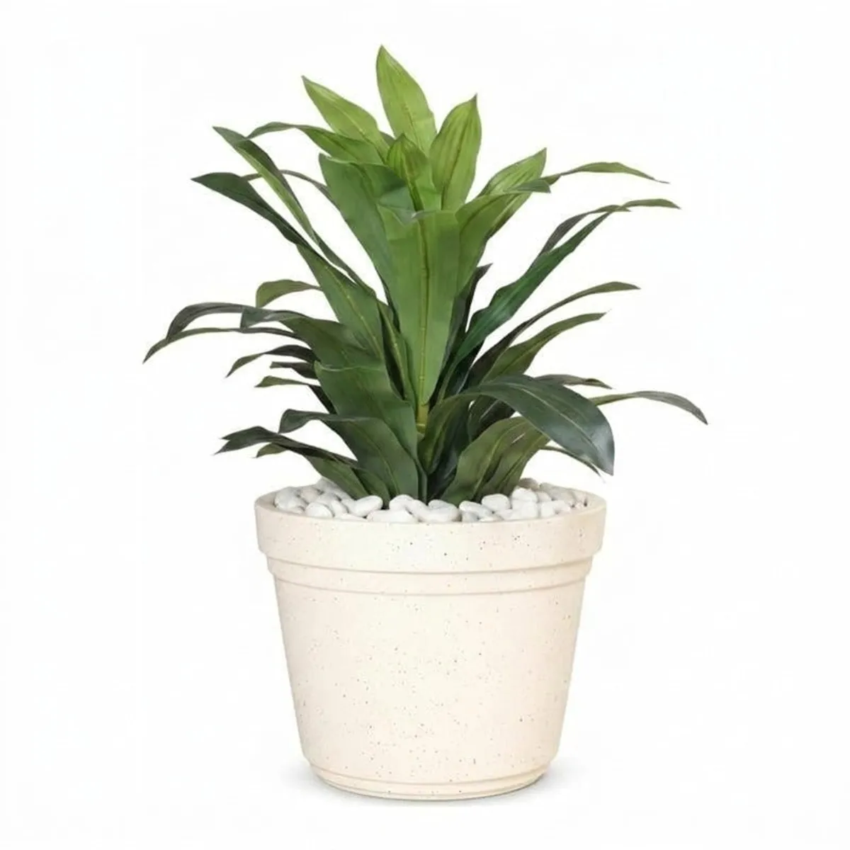 Off-white planter with a green plant against a plain white background