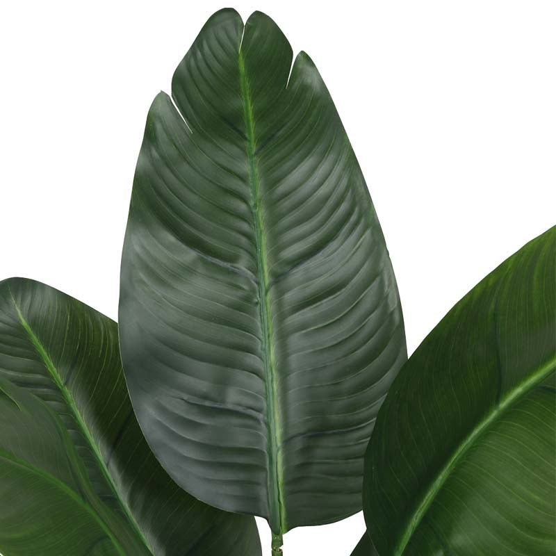 Faux Lush Bird of Paradise Plant With Black Plastic Pot (Dark Green) - 4 Feet media 5