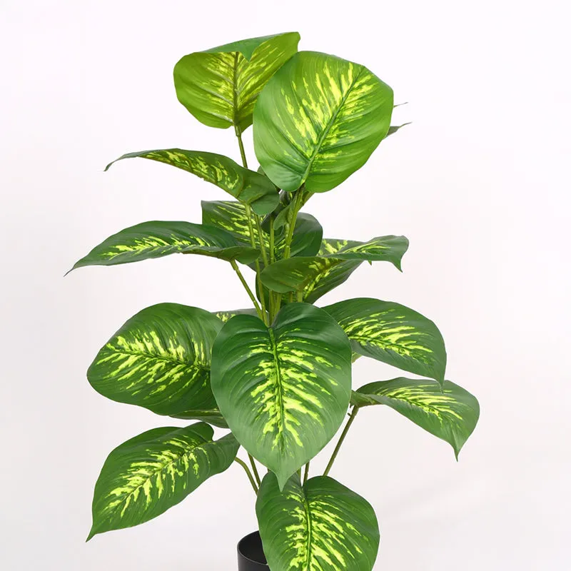 Differa Artificial Dieffenbachia Plant With Black Plastic Pot (2 Feet)  - Yellow, Green media 5