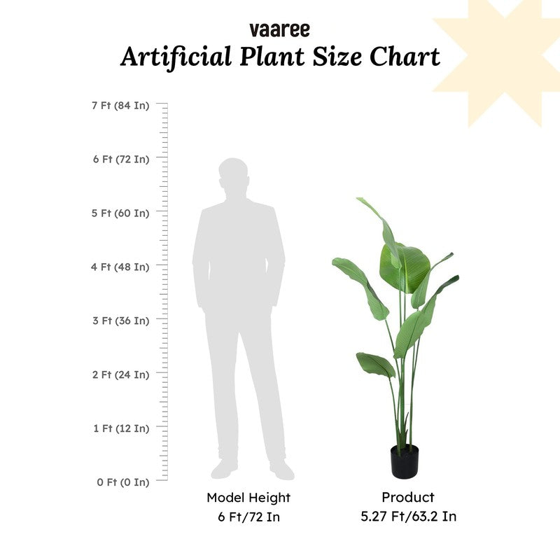 Artificial Calathea Plant With Black Fiber Pot - 5.2 Feet media 7
