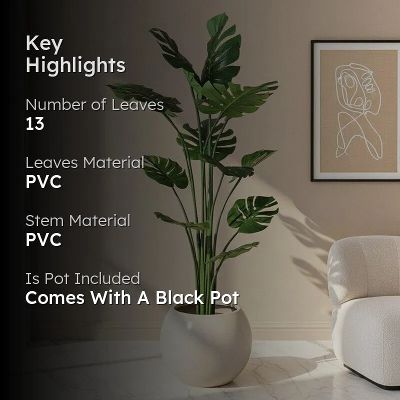 Artificial Split Philo Plant With Black Fiber Pot - 4.9 Feet media 2