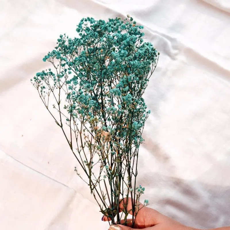 Naturally Dried Baby Breath Gypsophila Stems (Turquoise) - Set Of Five media 4