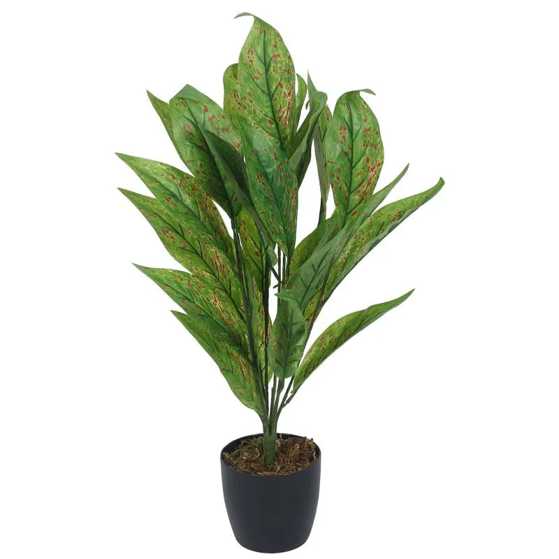 Faux Lush Dieffenbachia Plant With Black Plastic Pot - 2.3 Feet media 4