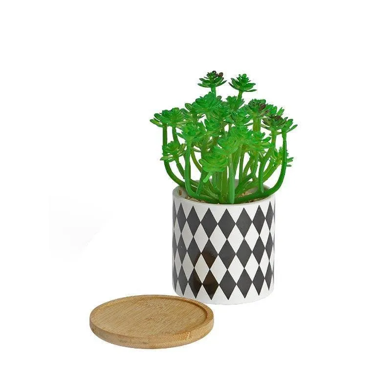 Faux Crassula In Checkered Pot - 17 cms media 3