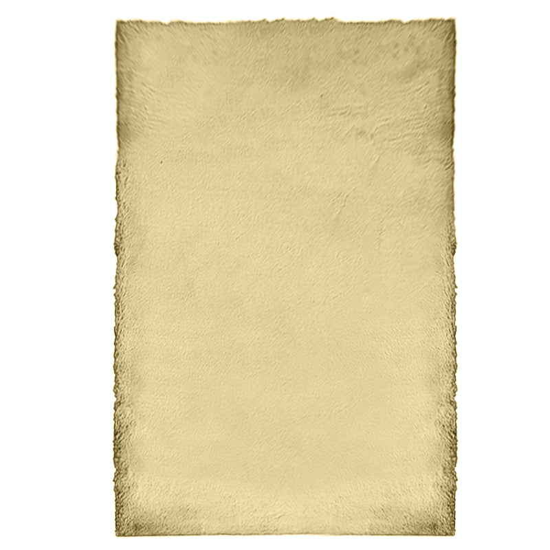 Floratex Anti-Skid Carpet - Beige media 3