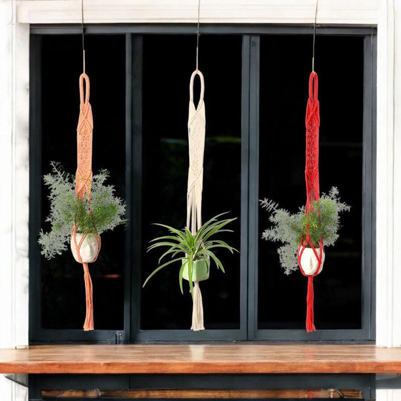 Boheme Botanica Macrame Hanging Planter (Multicolor) - Set Of Three