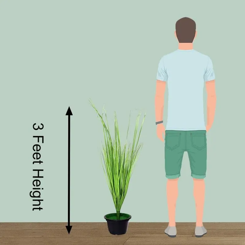 Banavine Faux Grass bunch With Black Plastic Pot - 3 Feet media 7