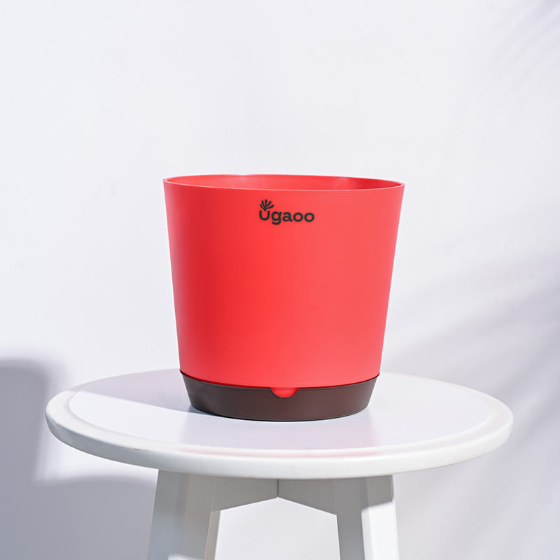 Ugaoo Mossy Bottom Plastic Planter (Red) - Set Of Five media 4