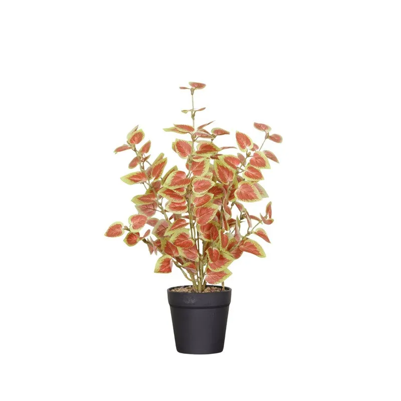 Artificial Coleous Plant With Black Fiber Pot (Orange) - 1 Feet media 4