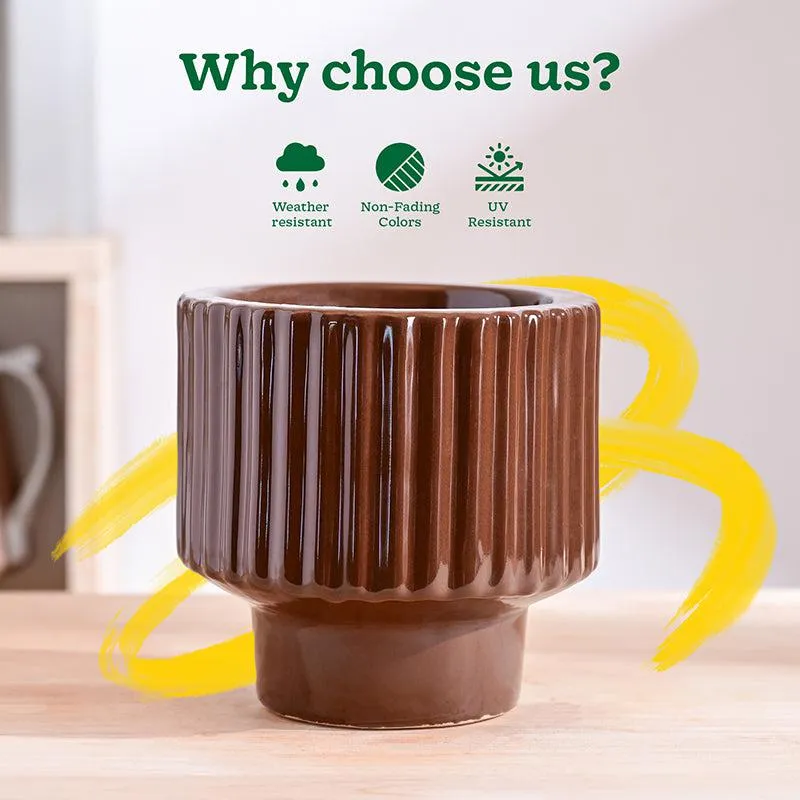 Ugaoo Classic Stria Ceramic Planter - Brown media 6