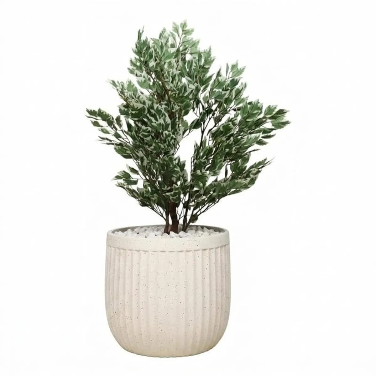 Off-white planter with a leafy plant shown against a plain white background.