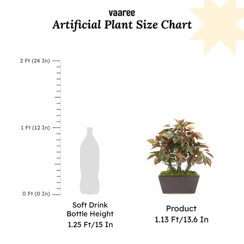 Red Ficus Artificial Bonsai Plant With Ceramic Pot 1.1 Feet - 1.3 Feet media 6