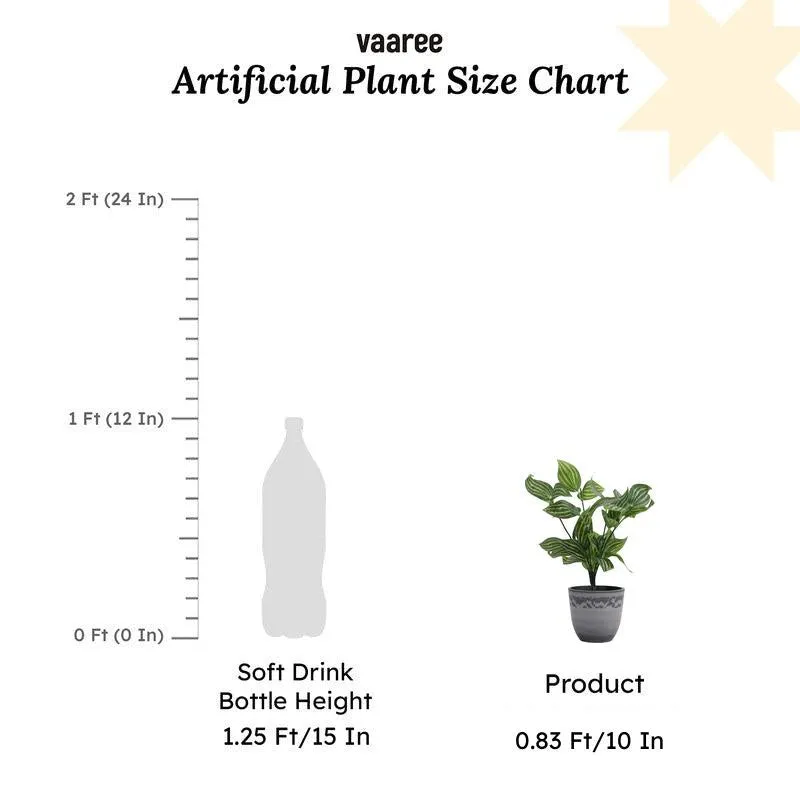 Artificial Fittonia Plant With Black Plastic Pot (0.8 Ft) - Set Of Two media 8