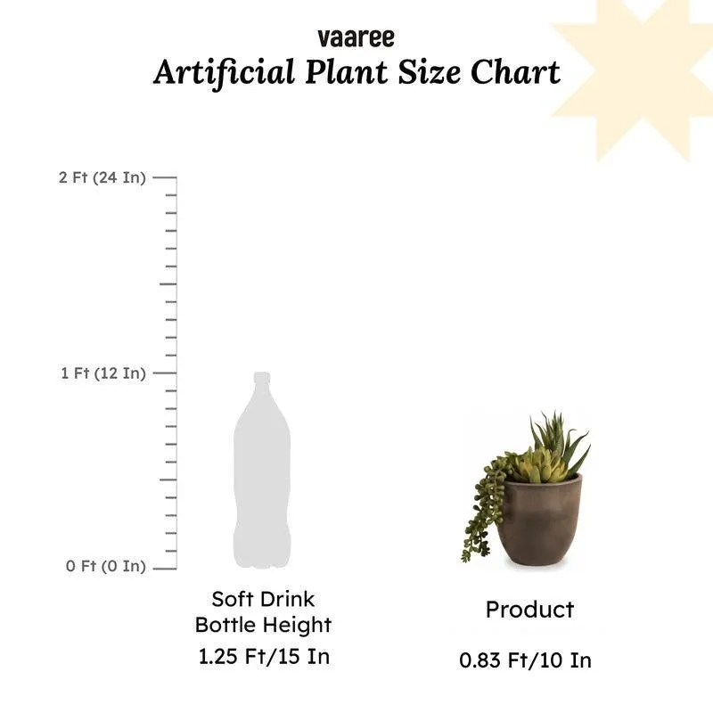 Artificial Green Succulent With Black Plastic Pot media 6