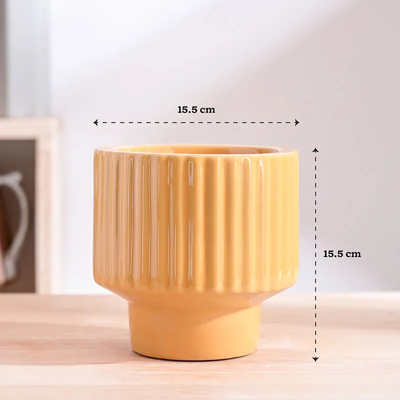 Ugaoo Classic Stria Ceramic Planter - Yellow media 8