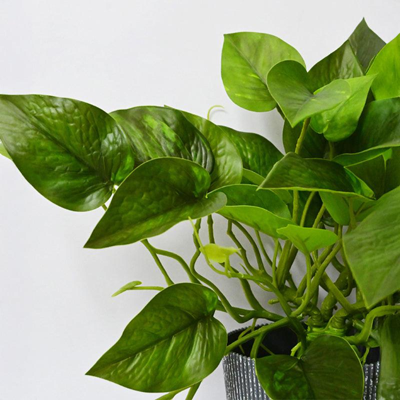 Pothera Artificial Pothos Plant With Black Plastic Pot - 40 cm media 3