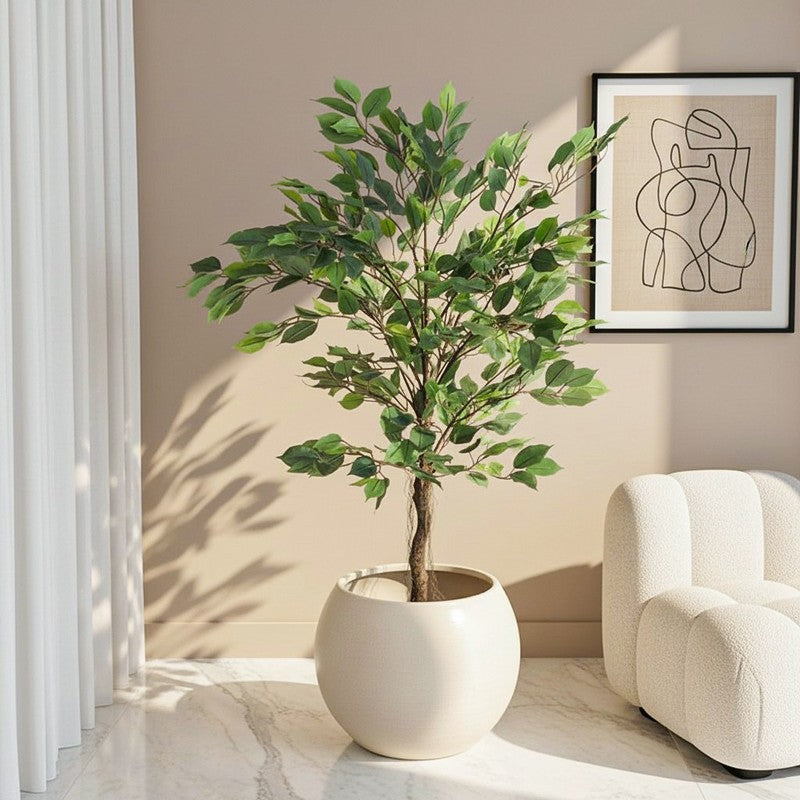 Evergreen Aura Artificial Plant With Black Plastic Pot - 4.2 ft