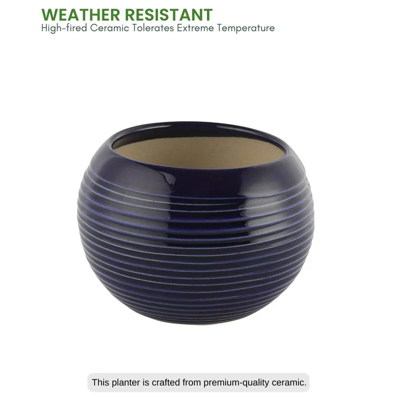 UrbanNest Pots & Planters Blue media 4