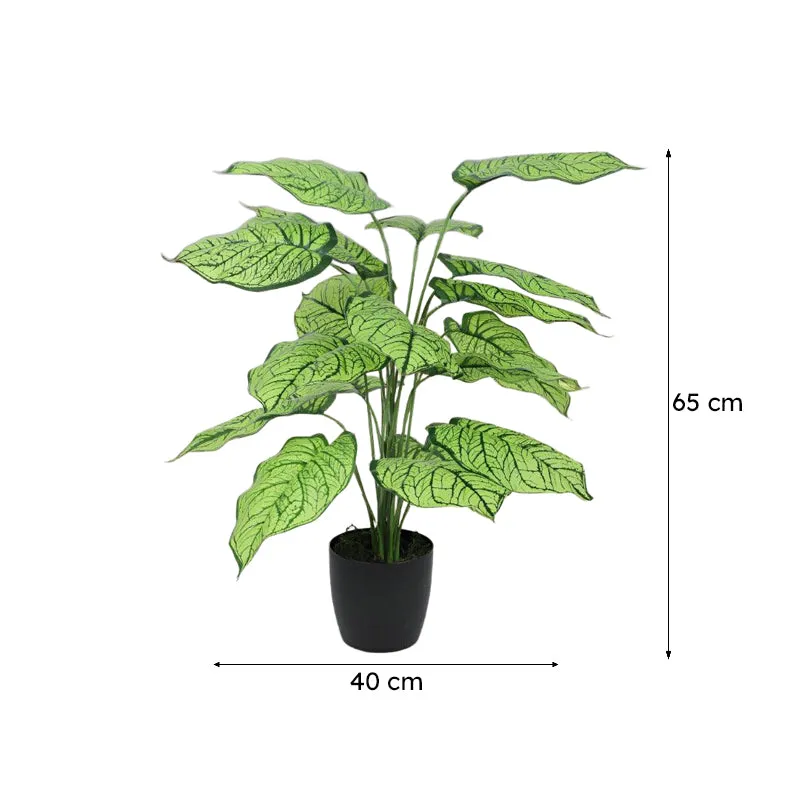 Faux Silk Plant With Black Plastic Pot - 2.13 ft media 6