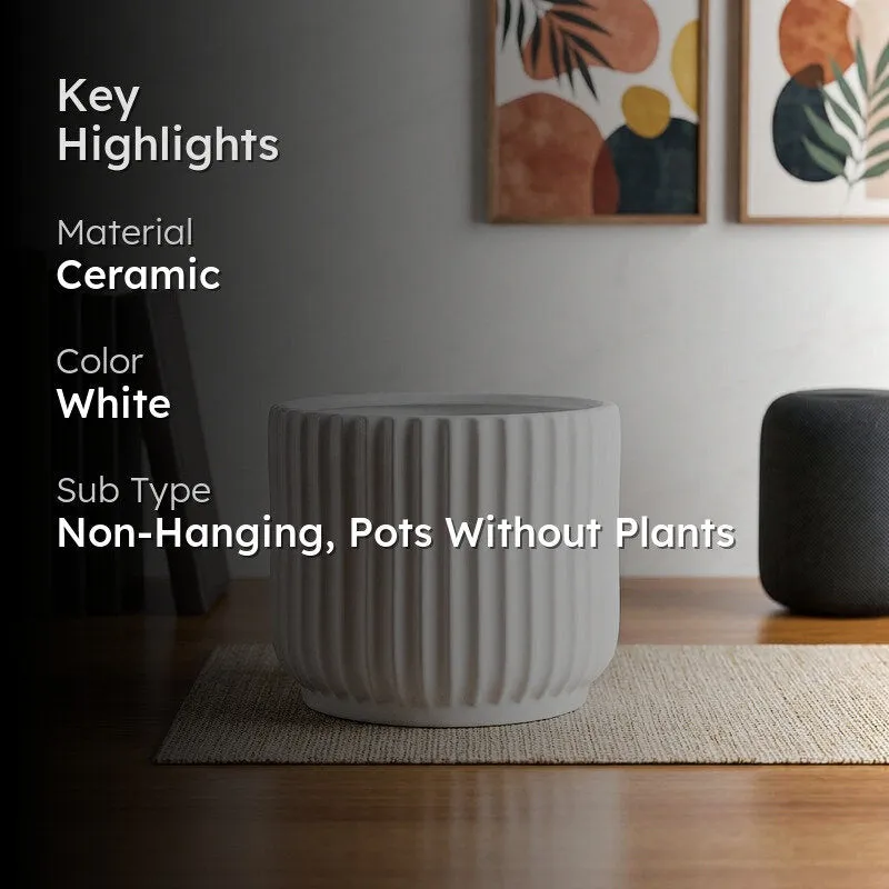 Ugaoo Phoenix White Ceramic Pot media 2