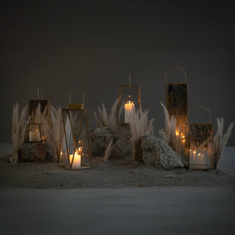 Orange Tree Alex Lantern media 7