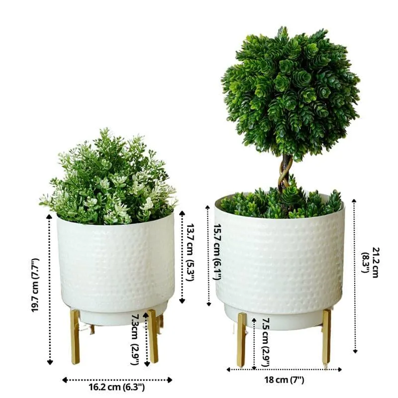 Creta Metal Planter - Set Of Two media 6