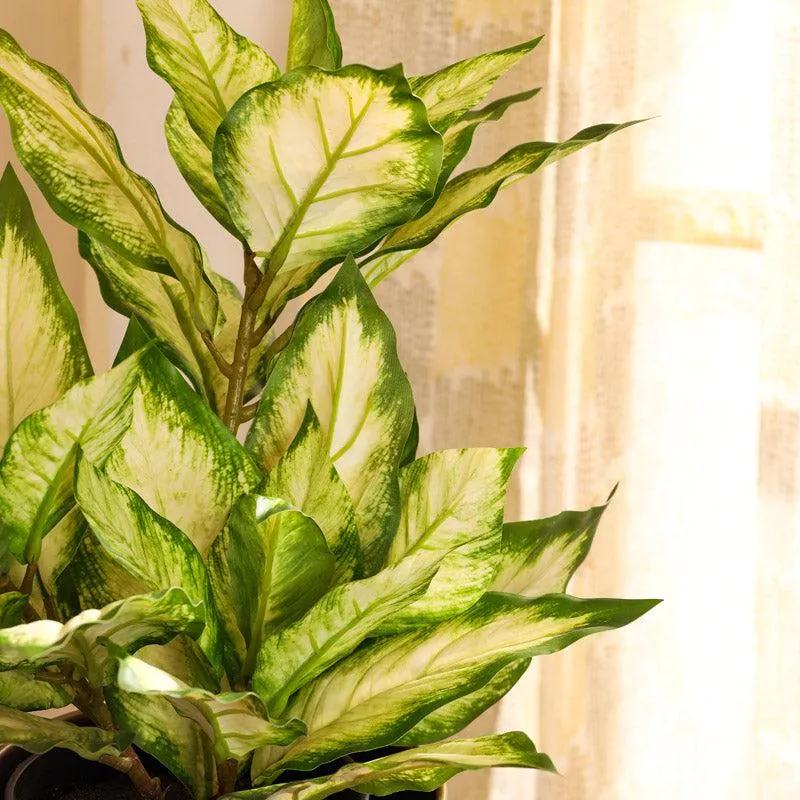 Artificial Realistic Variegated Dieffenbachia With Black Plastic Pot - Green media 5
