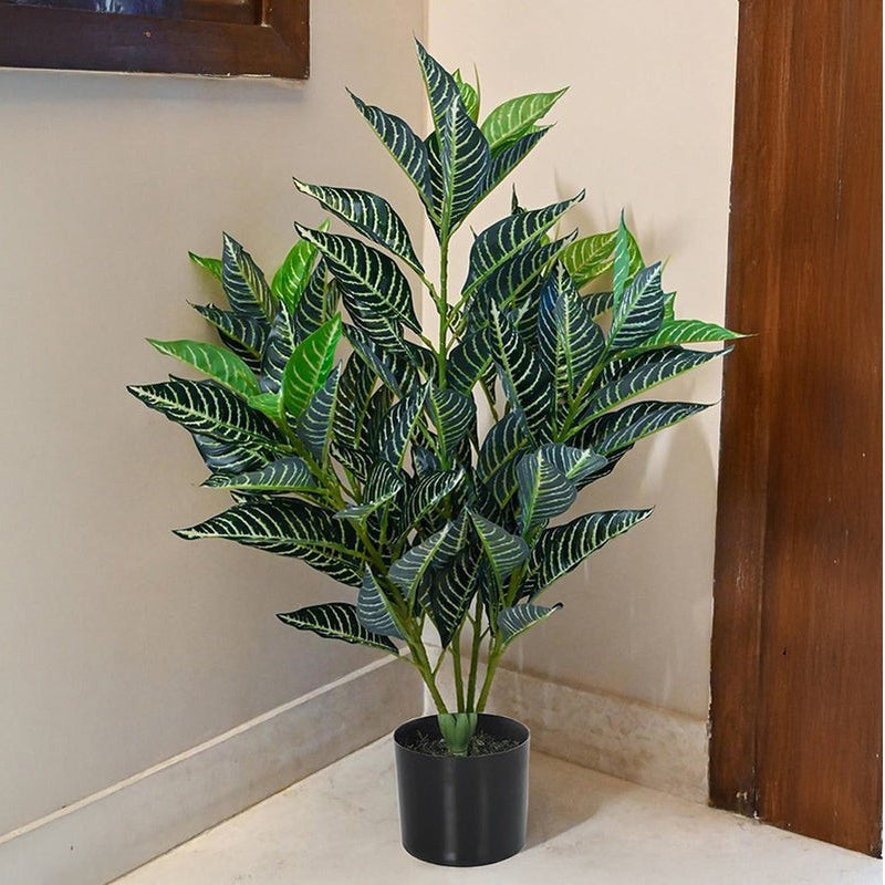 Faux Deco Rubber Plant With Black Plastic Pot - 2.79 ft media 3