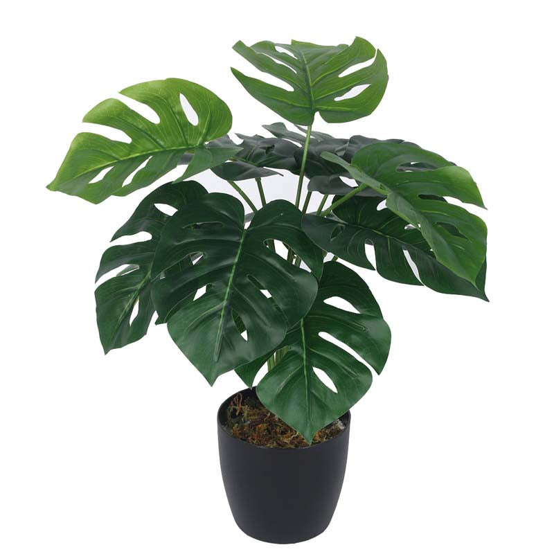 Lush Tropiks Artificial Mostera Plant With Black Plastic Pot -  1.8 Feet media 3