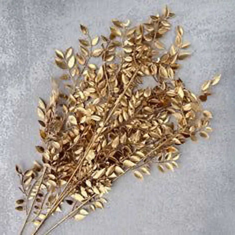 Dried Ruscus Bunch (Gold) - Set Of Three media 4