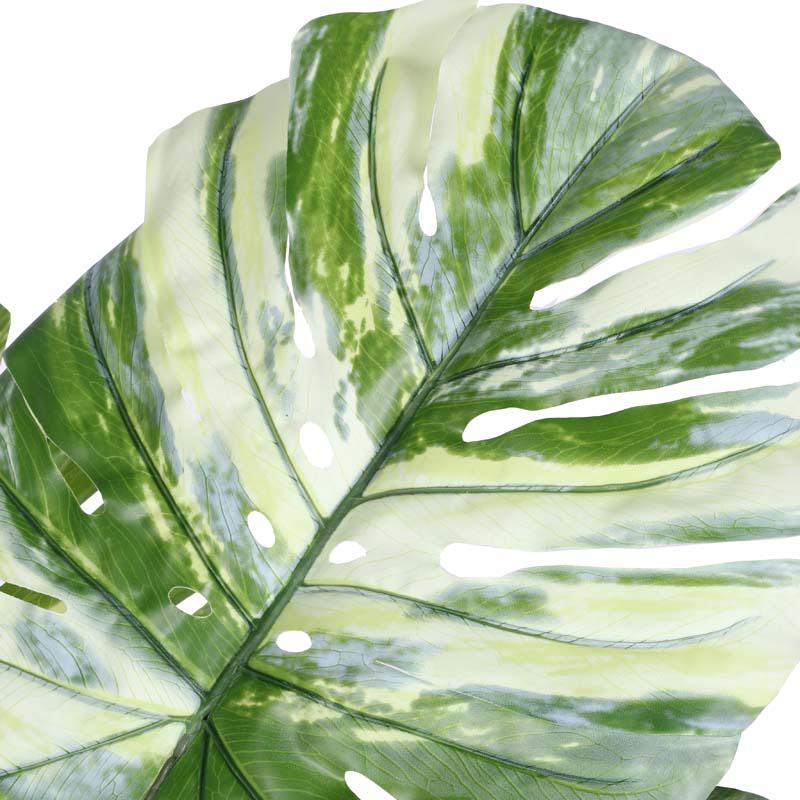 Faux Lush Variegated Monstera Plant With Black Plastic Pot - 5 Feet media 4