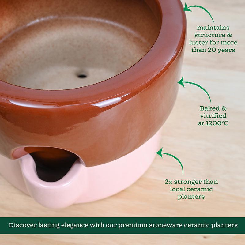 Ugaoo Lady Leafington Ceramic Planter - Terracotta & Pink media 5