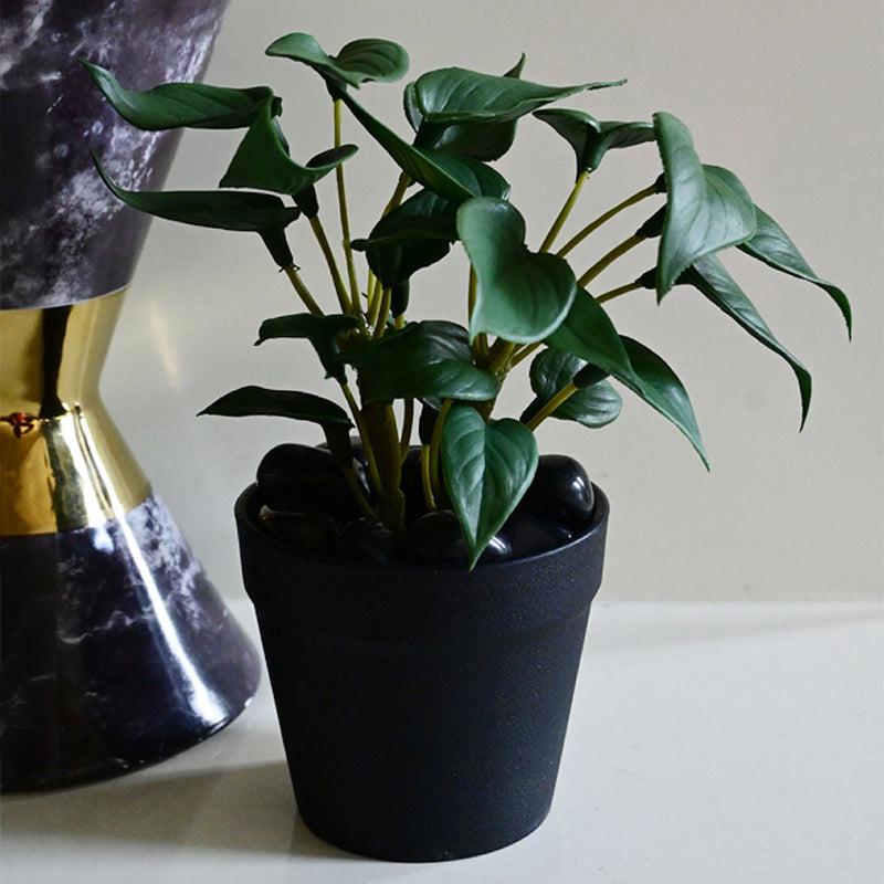 Moniva Artificial Pothos/Money Plant With Black Plastic Pot (Dark Green) - 19 cm media 5