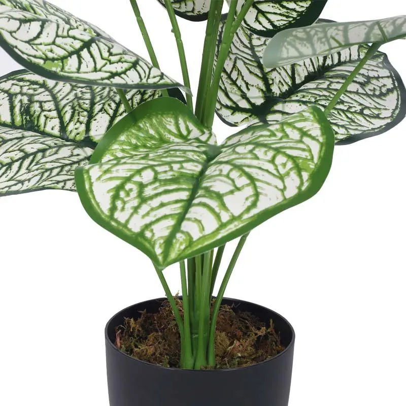 Faux Lush White Dubia Monstera Plant With Black Plastic Pot - 1.8 Feet media 5