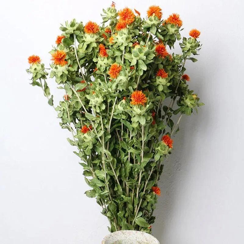 Dried Safflower - Set Of Five media 6