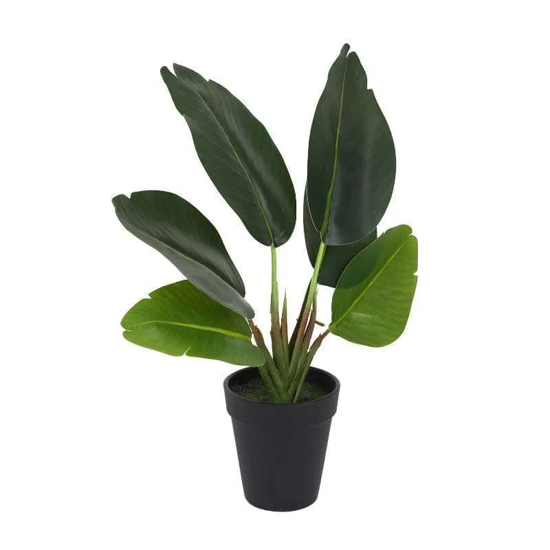 Faux Banana Palm Bonsai In Black Plastic Pot (36 cms) - Small media 4