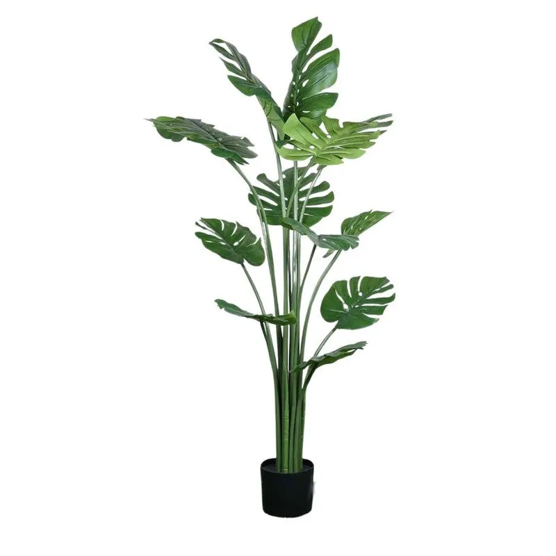 Artificial Split Philo Plant With Black Fiber Pot - 4.9 Feet media 6